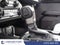 2025 Ford Bronco Big Bend®